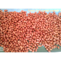 Red Skin Food Grade Peanut Kernel 40/50